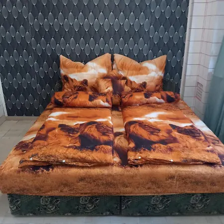 Luxury Eagle * Budapeşte