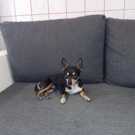 Apartamento Luxury Eagle *